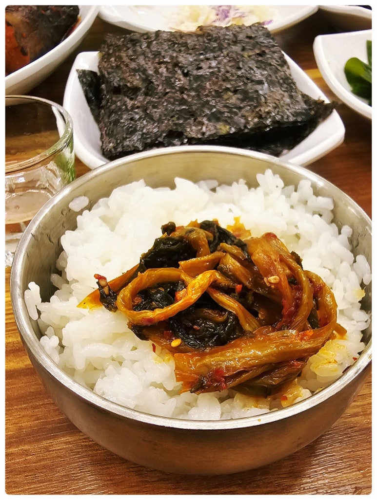 금빛코다리 이미지