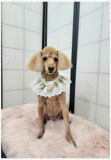 예뻐지는오늘 이미지