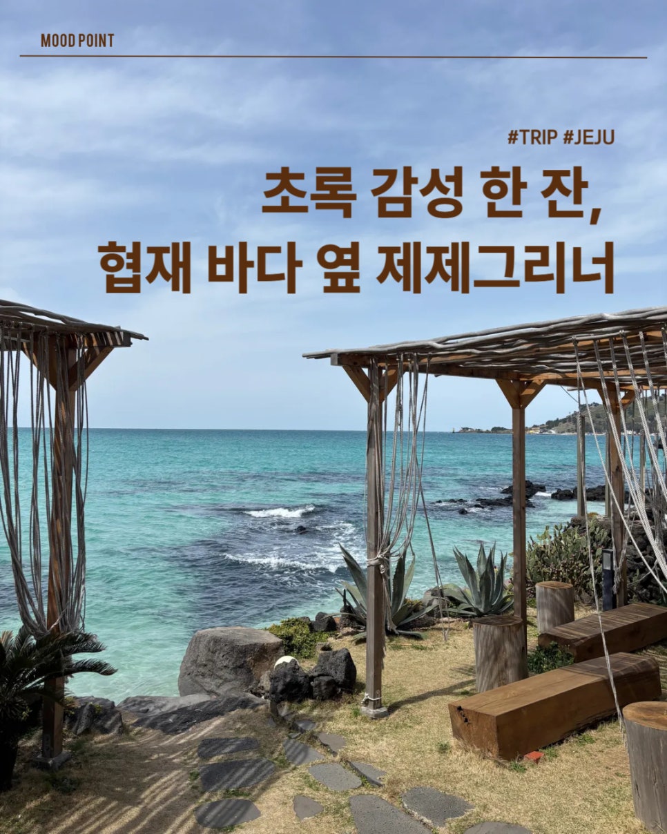 제제그리너 이미지