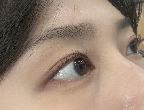 아이라이크(EYE LIKE) 이미지