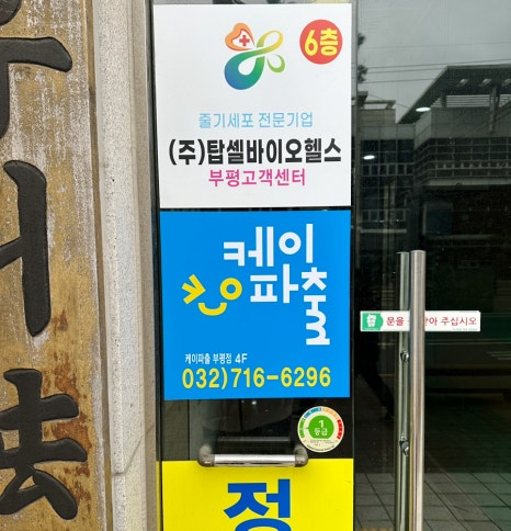 케이파출 이미지
