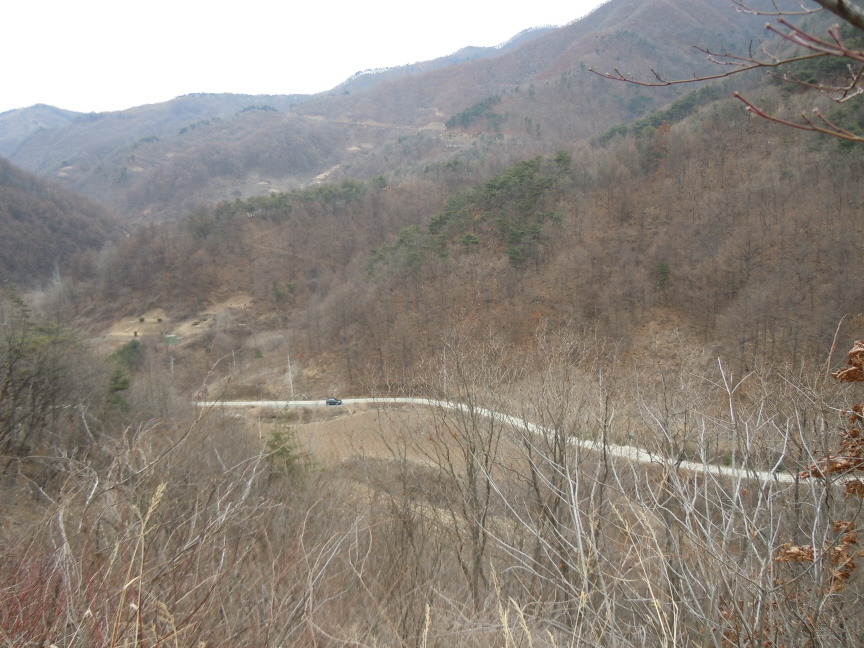 좌구산자연휴양림 이미지