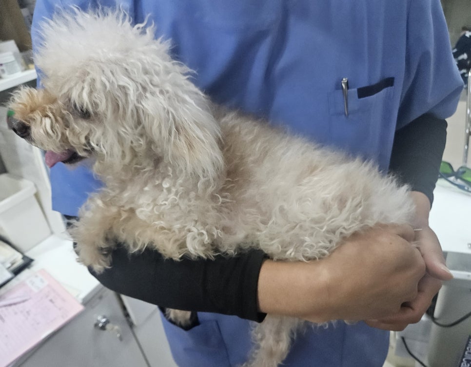 두암한방병원 이미지