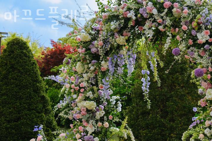 마끄드플레르 이미지