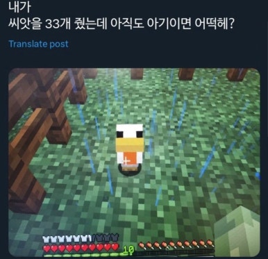 누가볶음 이미지