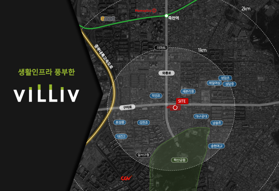 라디체 이미지