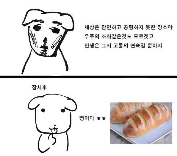 여기, 빵 이미지