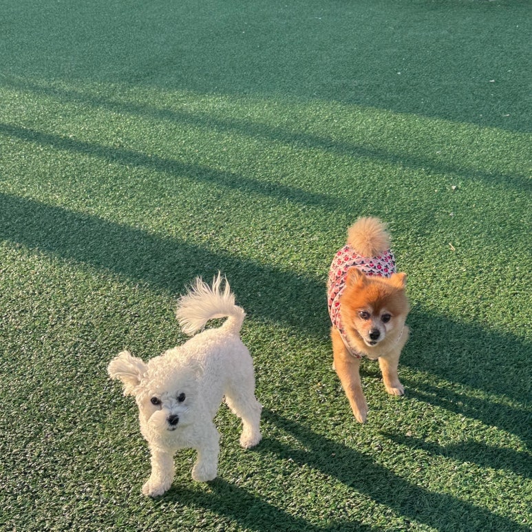 군자유치원 이미지