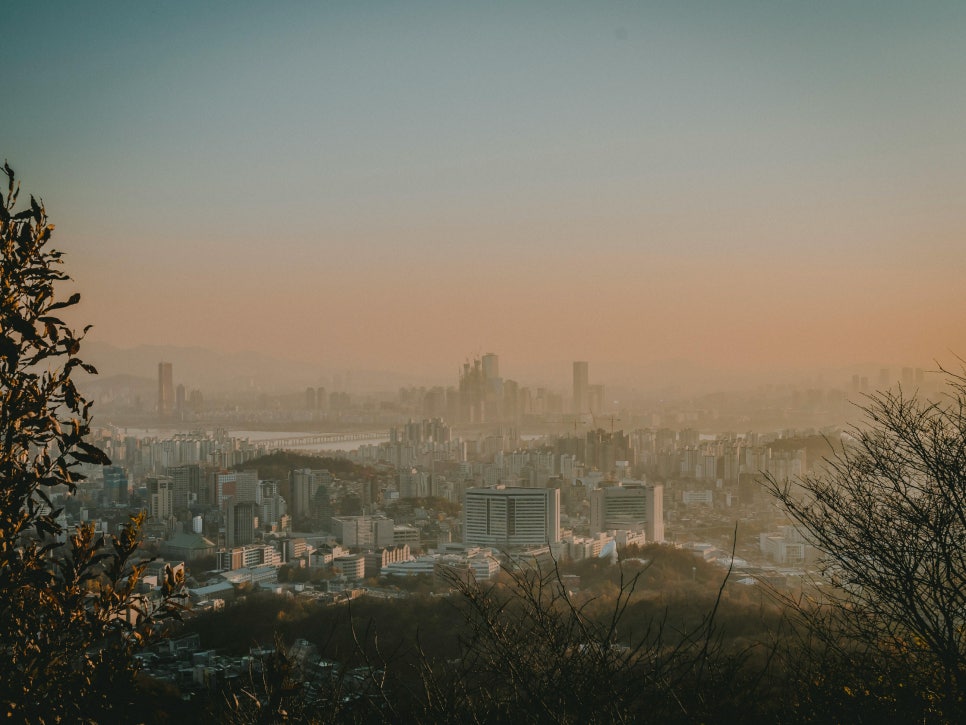 하나직업소개소 이미지