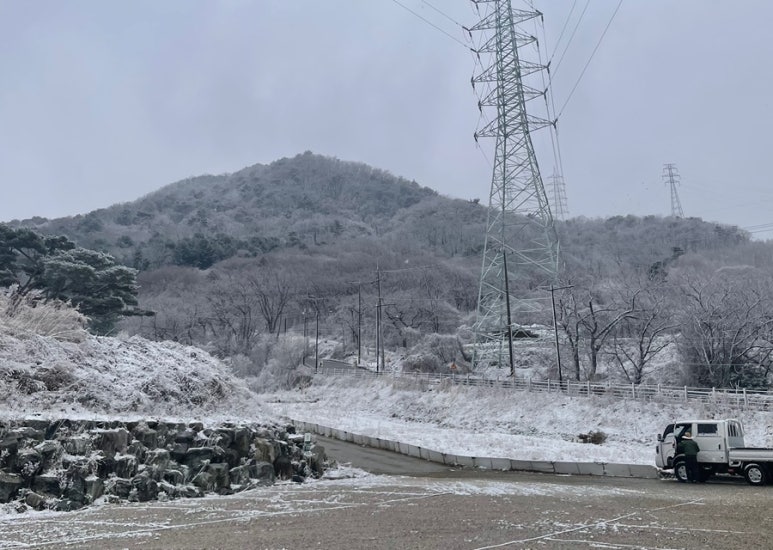 코알라캠핑장 이미지