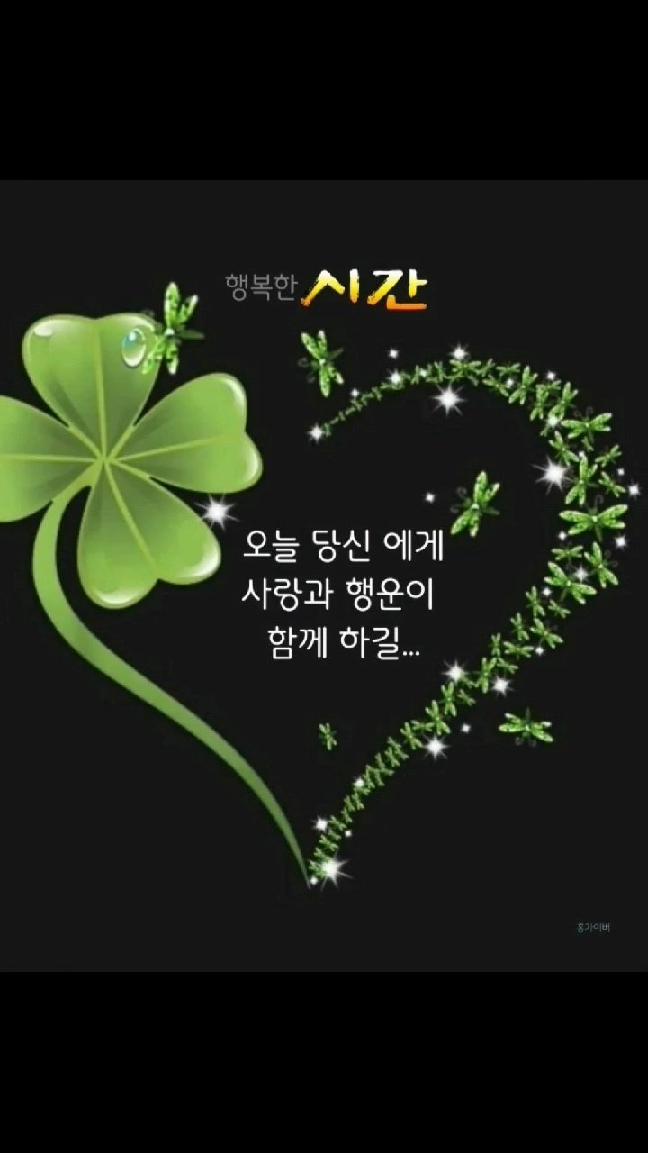 수지상사 이미지