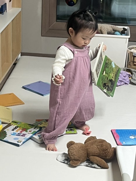 꼬숑 이미지