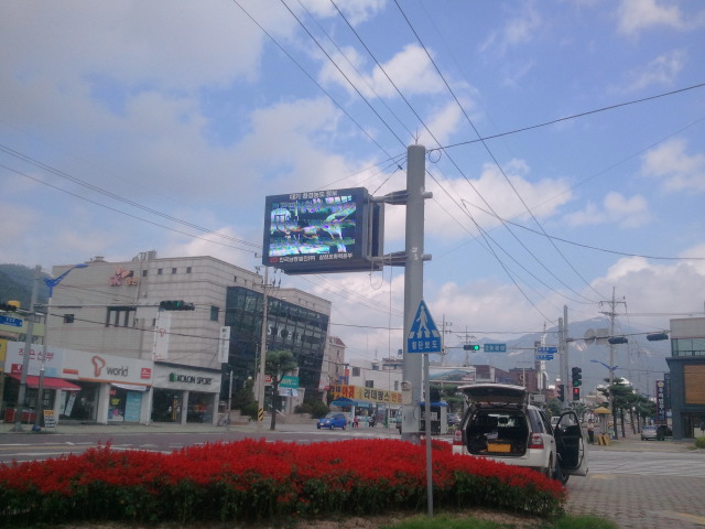 TMS 이미지