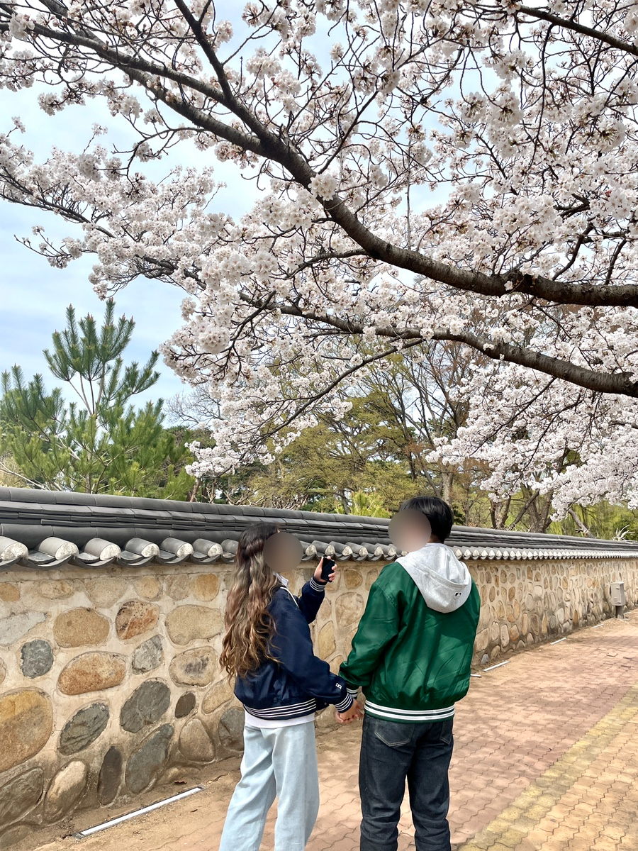 킹마라 이미지