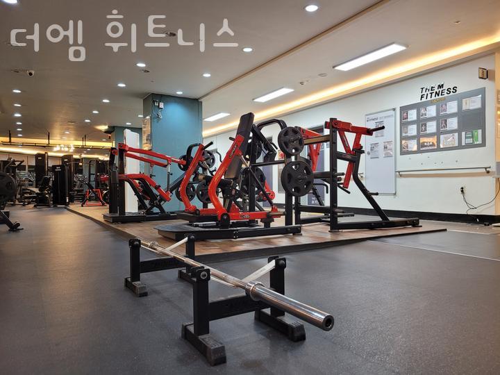 더엠 이미지