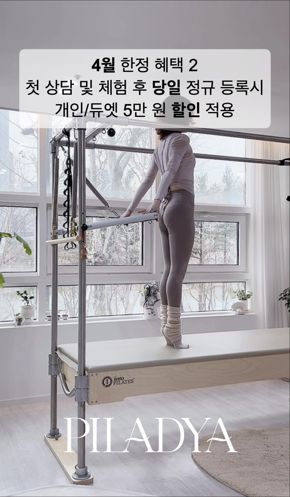 필라디아 이미지