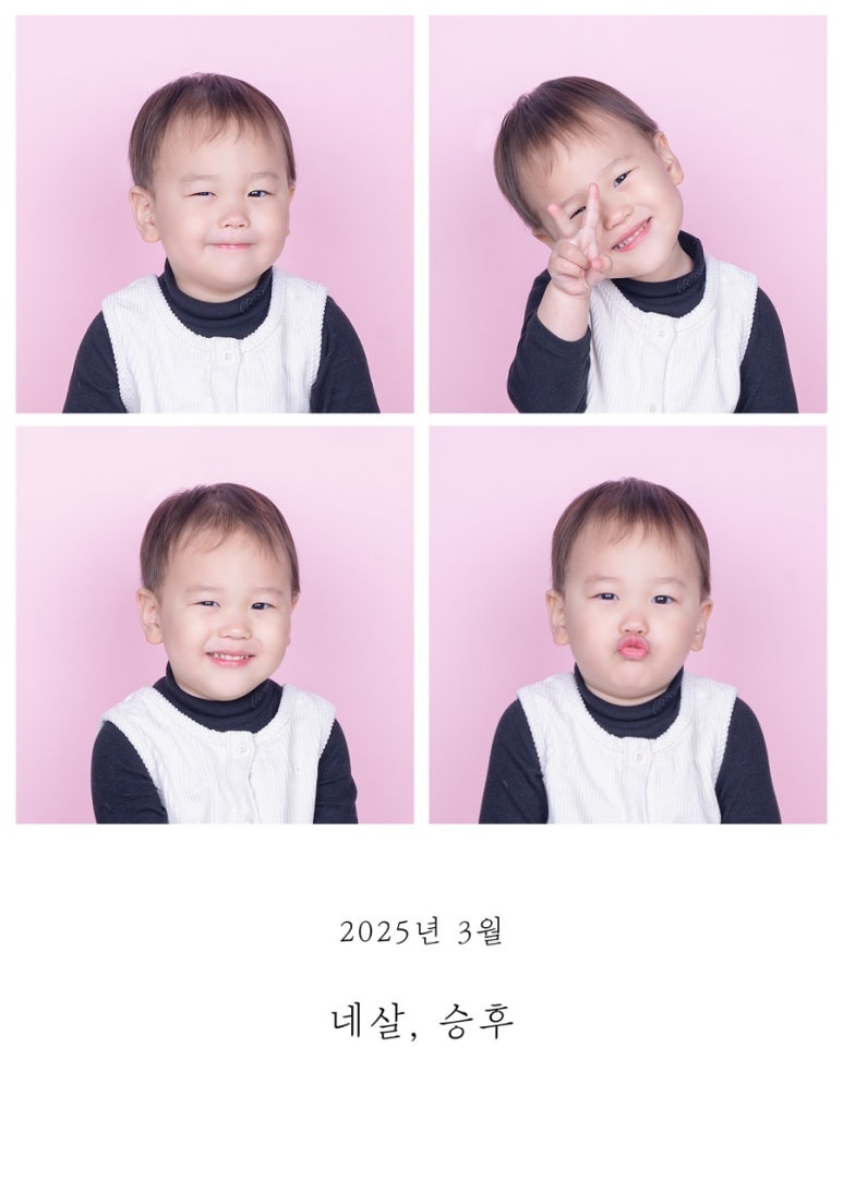 사파리사진관청주점 이미지