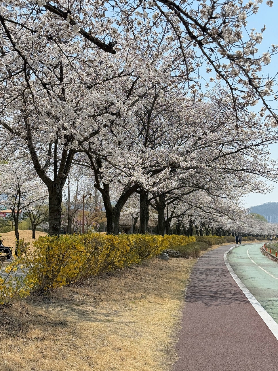 동락매점 이미지