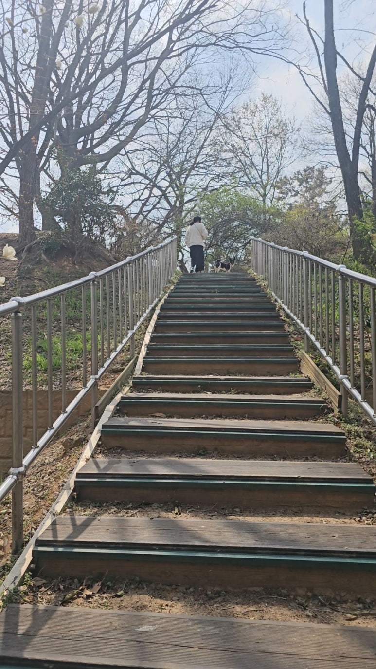 무양공원 유아숲체험원 이미지