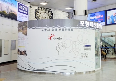 포항과채 이미지