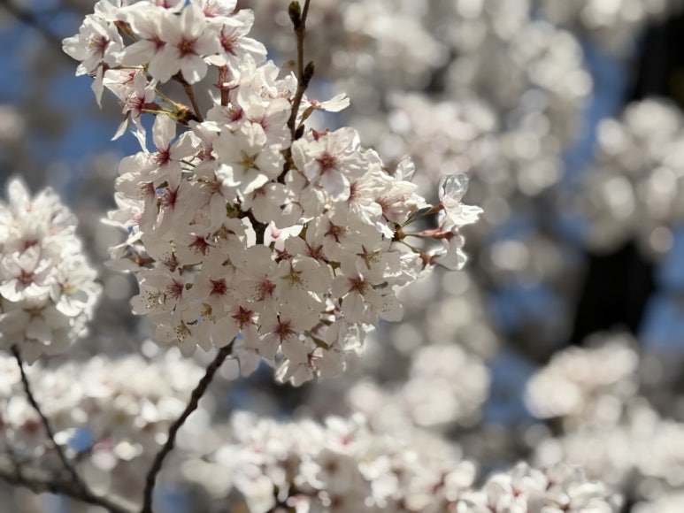 앞산387 이미지