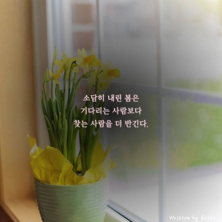 소담히 이미지