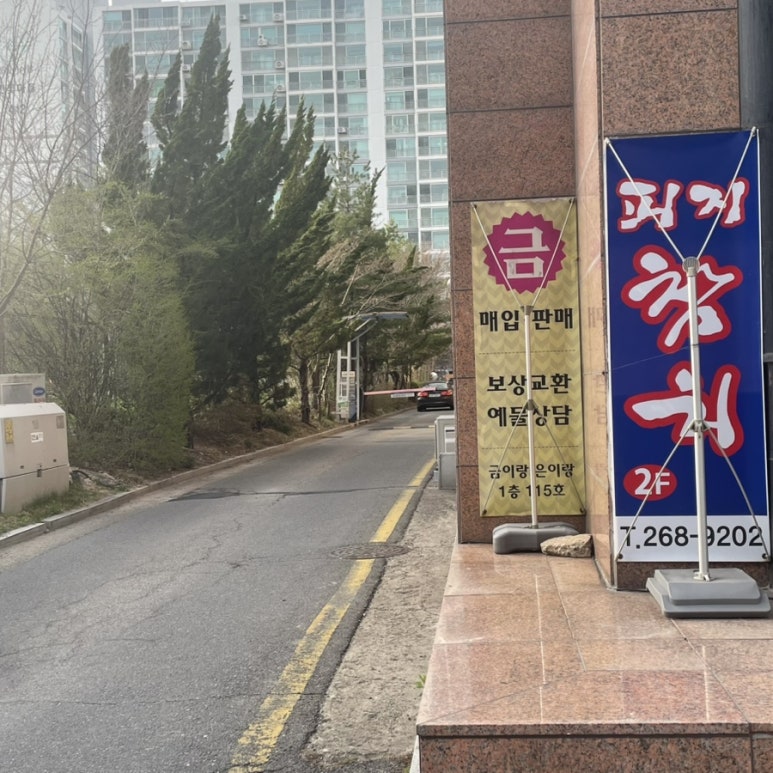 피지참치 이미지