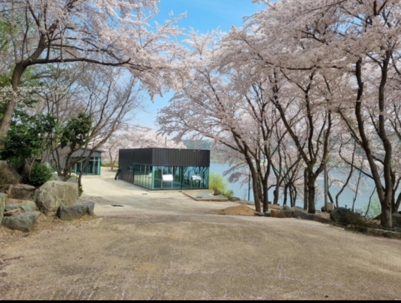 카페리블리 이미지