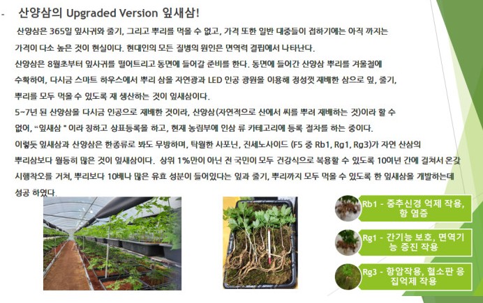농업법인(유)지리산잎새삼 이미지
