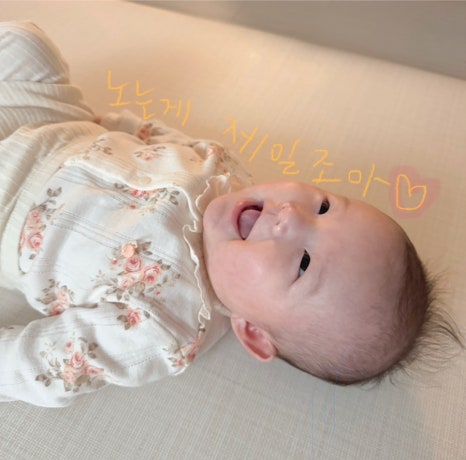 띠용 이미지