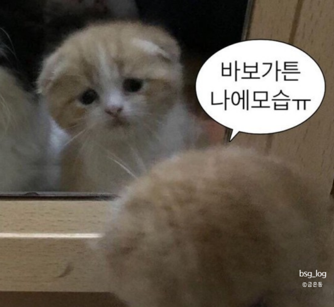 스몰타운커피 이미지