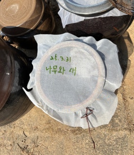 새풀잎어린이집 이미지
