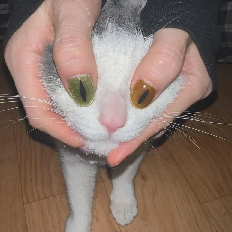 보름 이미지