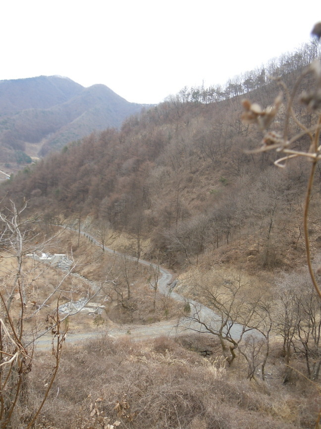 좌구산자연휴양림 이미지