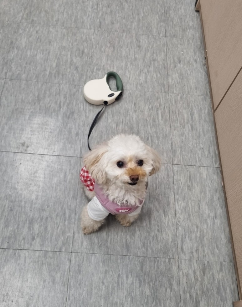 이모옷집 이미지