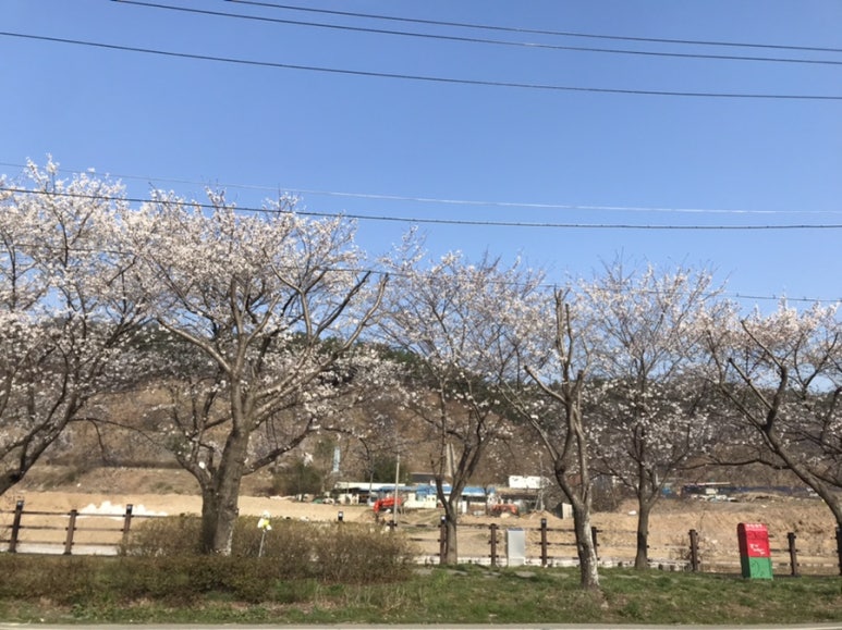 봉계농약사 이미지