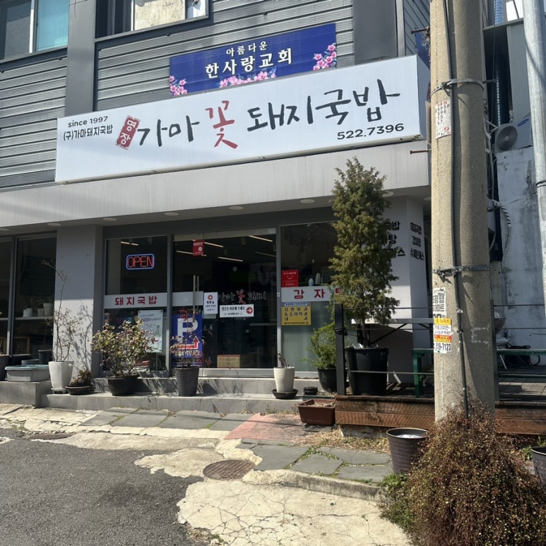 가마꽃돼지 이미지