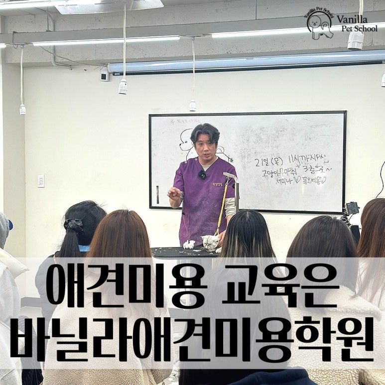 바닐라애견미용학원 이미지