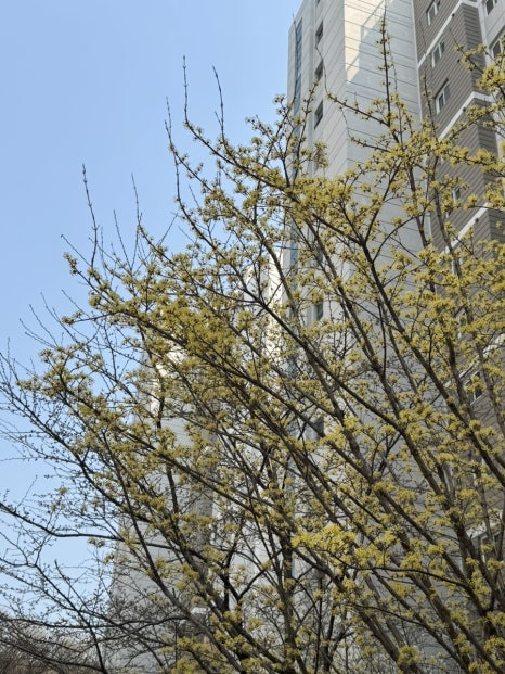 프룻팝 이미지