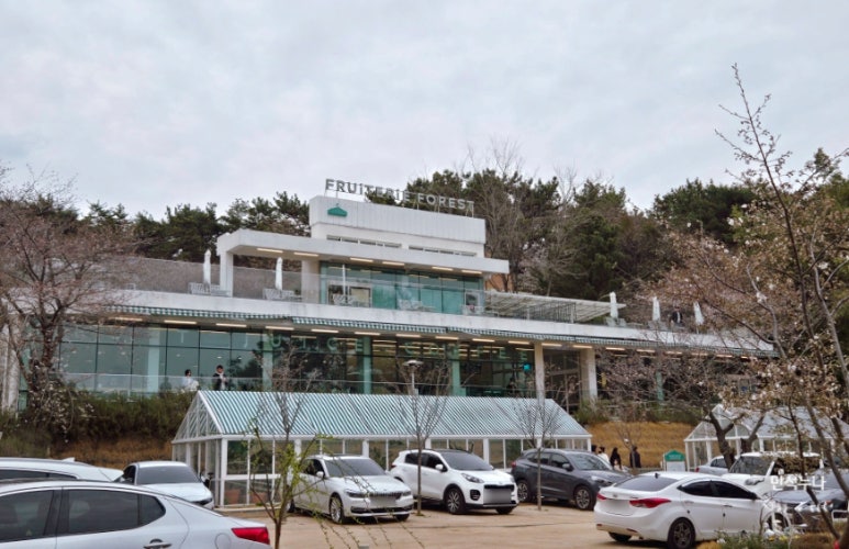 카페포레스트인 이미지