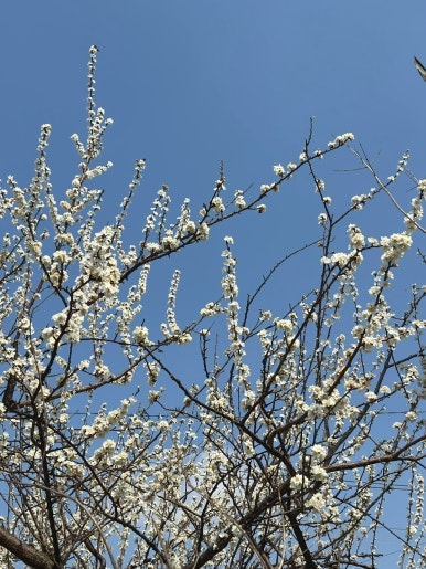 엄마반찬 이미지