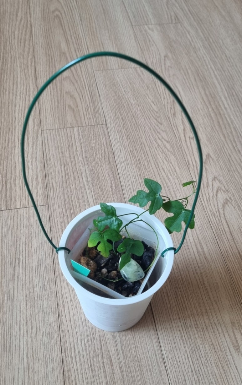 이랑가드닝 이미지