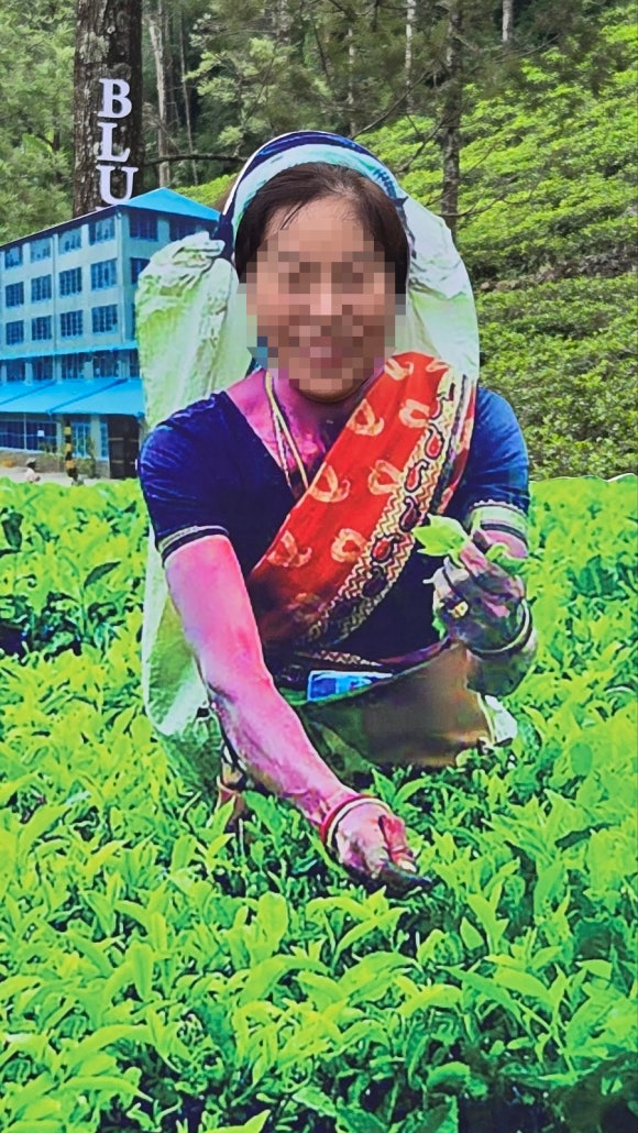 블루필드 이미지