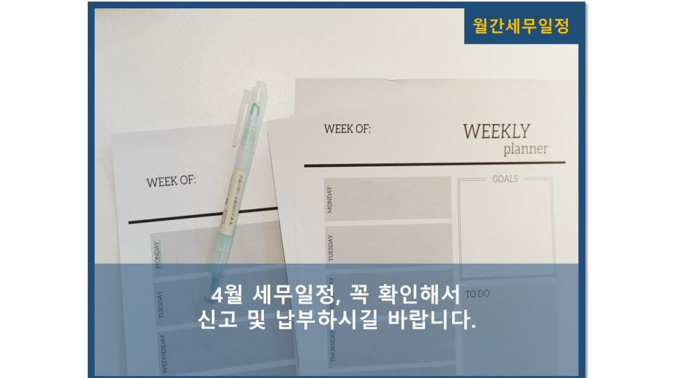 세아회계법인 이미지