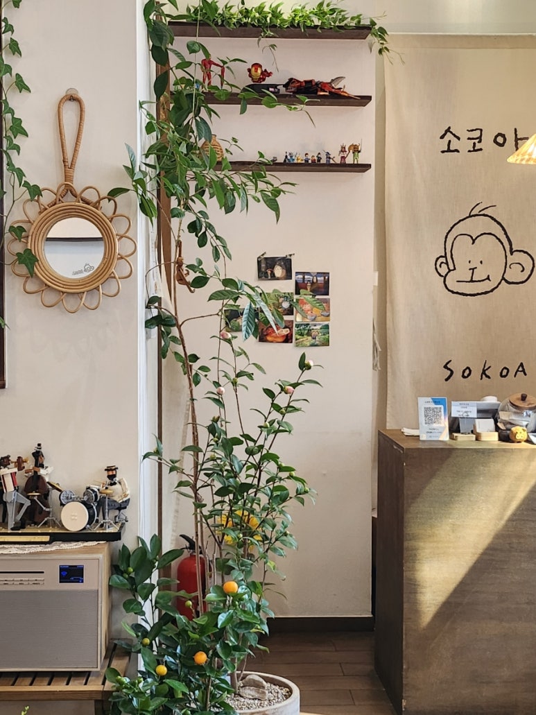 소코아 아산배방점 이미지