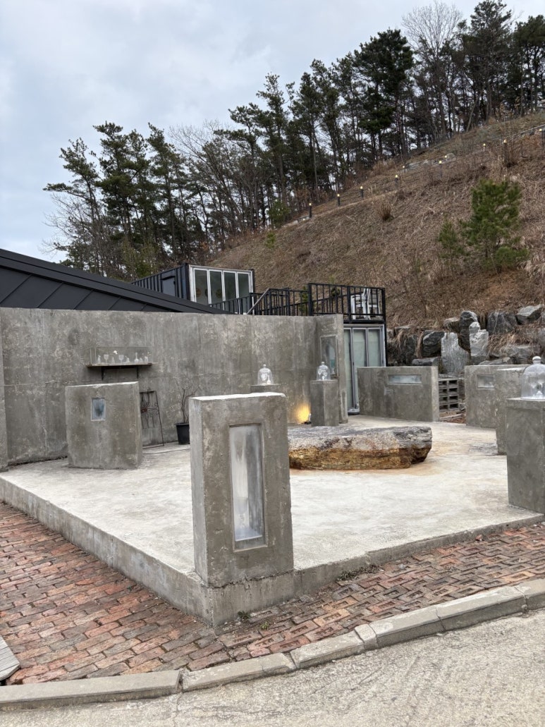 블랙트리 이미지