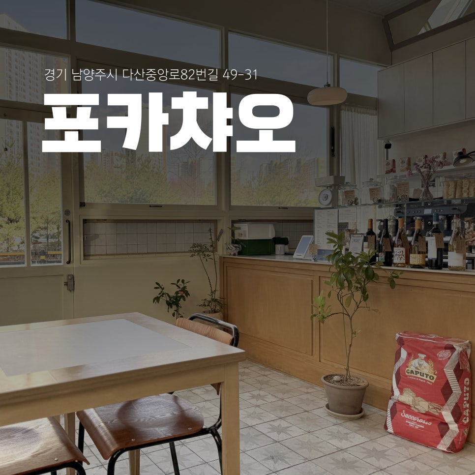 포카챠오 이미지