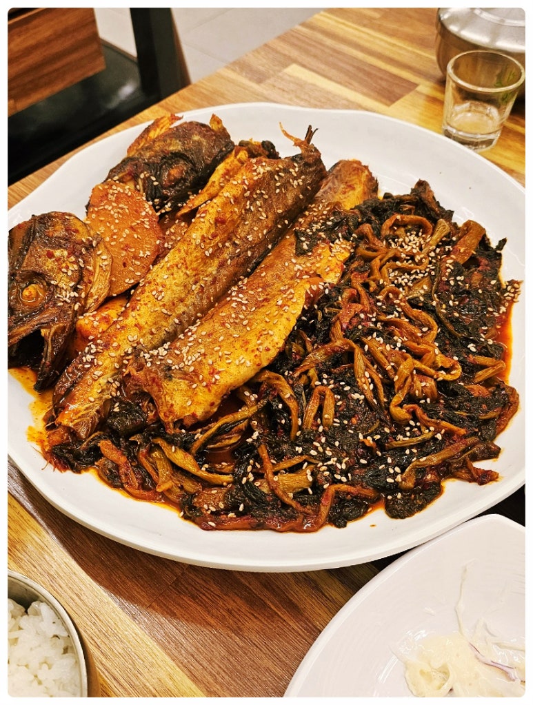 금빛코다리 이미지