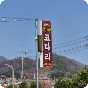 진샘코다리 이미지