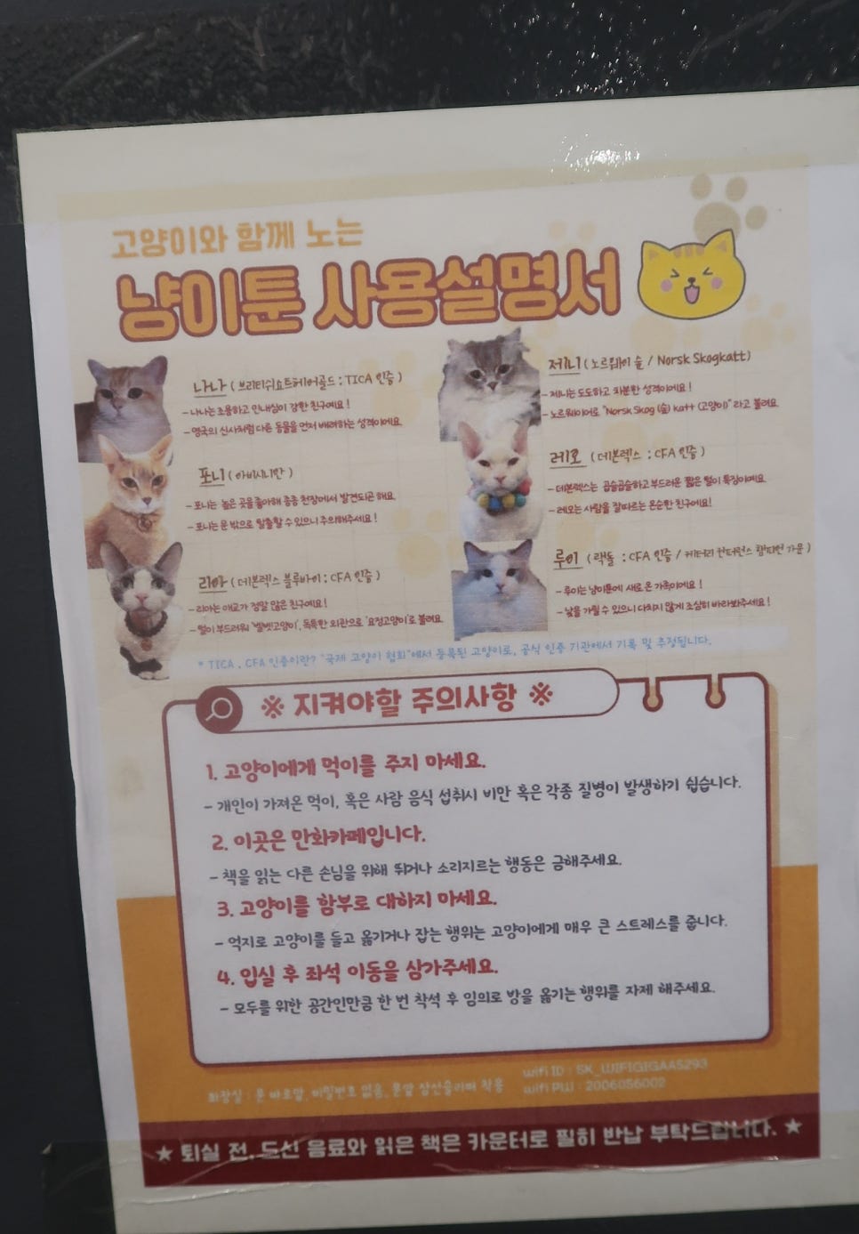 냥이툰 이미지